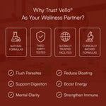 Black Walnut Wormwood Parasite Cleanse